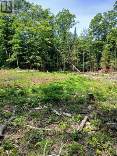 1005 PORKYS ROAD, Minden Hills (Snowdon), Ontario, K0M2K0