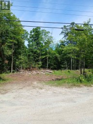 1005 PORKYS ROAD Minden Hills (Snowdon) Ontario photo 8