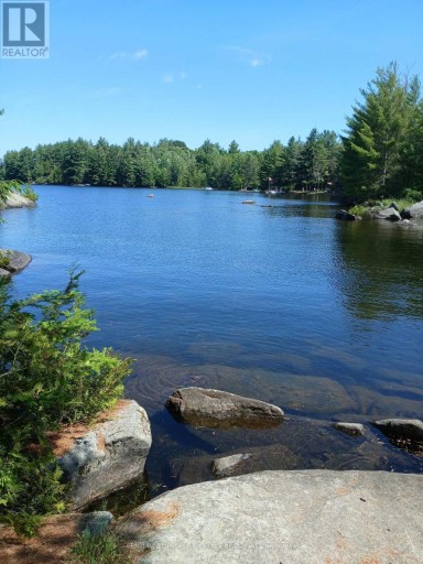 1005 PORKYS ROAD, Minden Hills (Snowdon), Ontario, K0M2K0