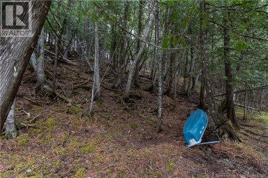 Lot Enterprise Road Enterprise New Brunswick photo 12