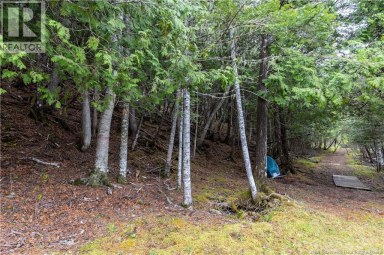 Lot Enterprise Road Enterprise New Brunswick photo 13