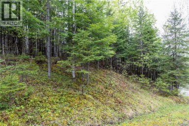 Lot Enterprise Road Enterprise New Brunswick photo 14