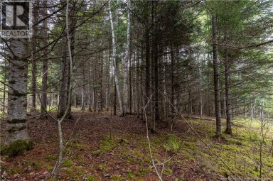 Lot Enterprise Road Enterprise New Brunswick photo 15