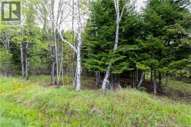 Lot Enterprise Road Enterprise New Brunswick photo 16