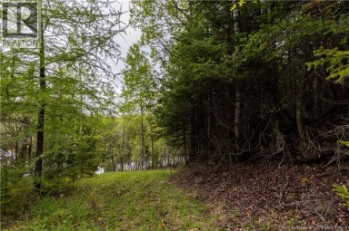 Lot Enterprise Road Enterprise New Brunswick photo 17