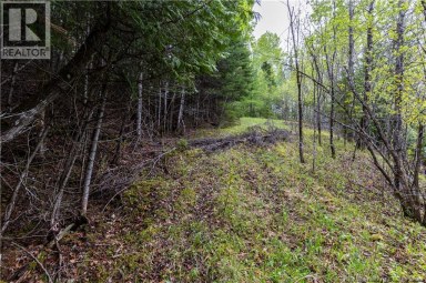 Lot Enterprise Road Enterprise New Brunswick photo 18