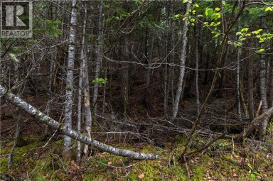 Lot Enterprise Road Enterprise New Brunswick photo 20
