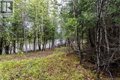 Lot Enterprise Road Enterprise New Brunswick photo 21
