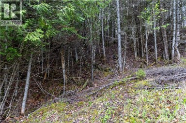 Lot Enterprise Road Enterprise New Brunswick photo 22
