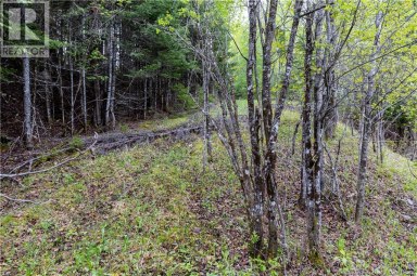Lot Enterprise Road Enterprise New Brunswick photo 23