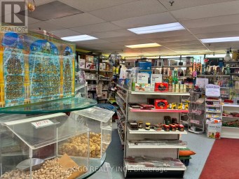 15 - 5010 STEELES AVENUE W Toronto (Mount Olive-Silverstone-Jamestown) Ontario photo 11