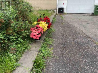 BSMT - 112 COMBERMERE DRIVE Toronto (Parkwoods-Donalda) Ontario photo 16