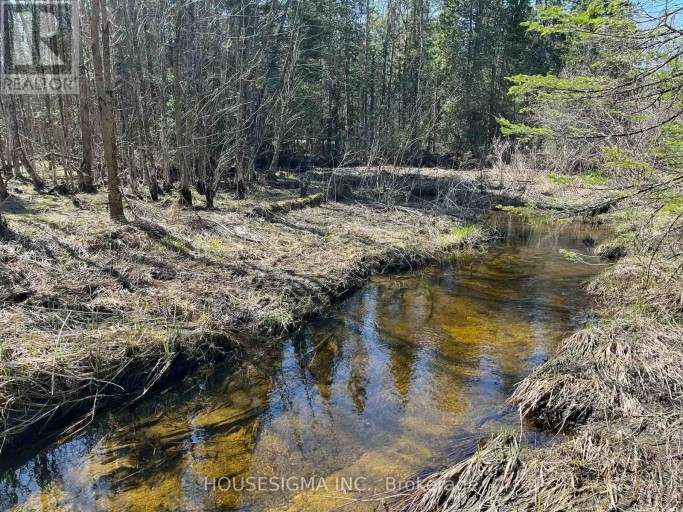 CON 14 PT LOT 17 WARD: 01 BULLER ROAD, Kawartha Lakes (Somerville), Ontario, K0M2L0
