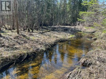 CON 14 PT LOT 17 WARD: 01 BULLER ROAD Kawartha Lakes (Somerville) Ontario photo 1