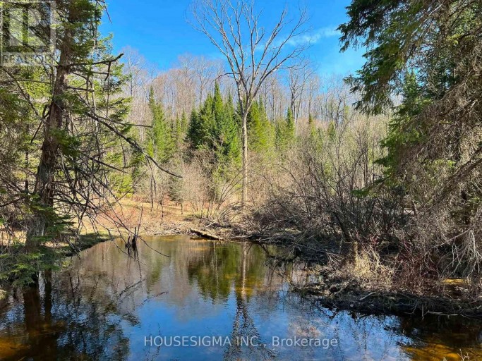 CON 14 PT LOT 17 WARD: 01 BULLER ROAD, Kawartha Lakes (Somerville), Ontario, K0M2L0