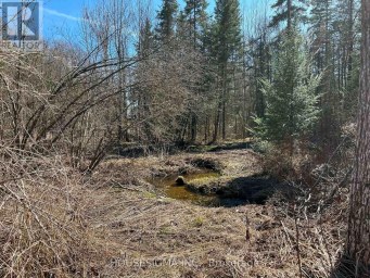 CON 14 PT LOT 17 WARD: 01 BULLER ROAD Kawartha Lakes (Somerville) Ontario photo 12