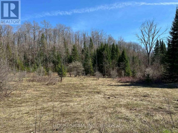 CON 14 PT LOT 17 WARD: 01 BULLER ROAD, Kawartha Lakes (Somerville), Ontario, K0M2L0