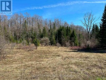 CON 14 PT LOT 17 WARD: 01 BULLER ROAD Kawartha Lakes (Somerville) Ontario photo 2