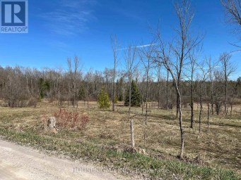 CON 14 PT LOT 17 WARD: 01 BULLER ROAD Kawartha Lakes (Somerville) Ontario photo 4