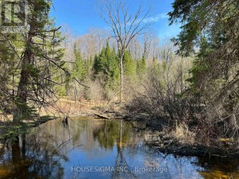 CON 14 PT LOT 17 WARD: 01 BULLER ROAD Kawartha Lakes (Somerville) Ontario photo 5
