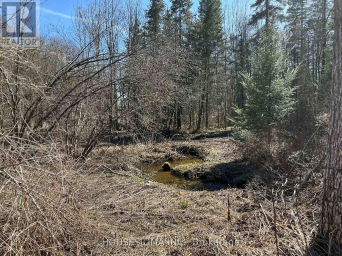 CON 14 PT LOT 17 WARD: 01 BULLER ROAD, Kawartha Lakes (Somerville), Ontario, K0M2L0