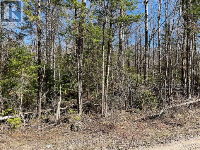 CON 14 PT LOT 17 WARD: 01 BULLER ROAD, Kawartha Lakes (Somerville), Ontario, K0M2L0