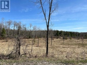 CON 14 PT LOT 17 WARD: 01 BULLER ROAD Kawartha Lakes (Somerville) Ontario photo 8
