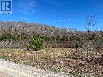 CON 14 PT LOT 17 WARD: 01 BULLER ROAD Kawartha Lakes (Somerville) Ontario photo 9