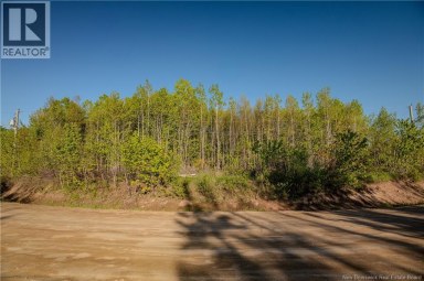 Lot Village-des-Cormier Road Gladeside New Brunswick photo 15