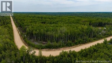 Lot Village-des-Cormier Road Gladeside New Brunswick photo 4