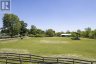 PT LT 13 CONC 4 ROAD, Zorra, Ontario, N5C1M1 (ID X13418524)