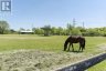 PT LT 13 CONC 4 ROAD, Zorra, Ontario, N5C1M1 (ID X13418524)
