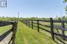 PT LT 13 CONC 4 ROAD, Zorra, Ontario, N5C1M1 (ID X13418524)