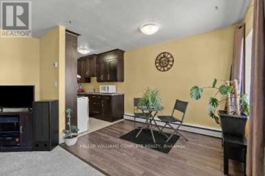 37 - 456 CARLTON STREET St. Catharines (Facer) Ontario photo 12