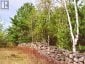 144 TREBINSKI ROAD, Madawaska Valley, Ontario, K0J1B0 (ID X13422430)