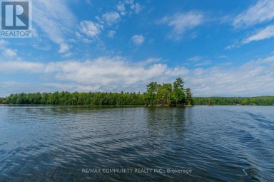 100 & 200 MARBLE LAKE ROAD Frontenac (Frontenac North) Ontario photo 27