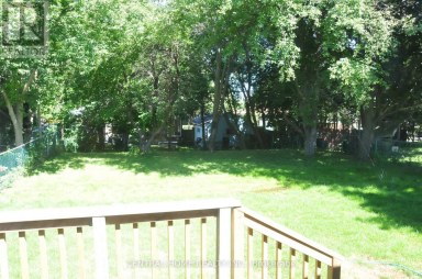 66 COLLINS CRESCENT Aurora (Aurora Heights) Ontario photo 3