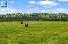 224253 434 Avenue West, Rural Foothills County, Alberta, T0L2A0 (ID A2316719)