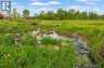224253 434 Avenue West, Rural Foothills County, Alberta, T0L2A0 (ID A2316719)