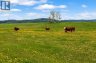 224253 434 Avenue West, Rural Foothills County, Alberta, T0L2A0 (ID A2316719)