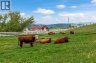 224253 434 Avenue West, Rural Foothills County, Alberta, T0L2A0 (ID A2316719)