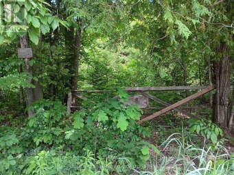 7 LINE Innisfil Ontario photo 2