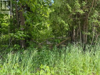 7 LINE Innisfil Ontario photo 3