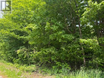 7 LINE Innisfil Ontario photo 4