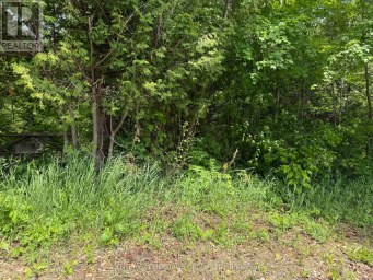 7 LINE Innisfil Ontario photo 5