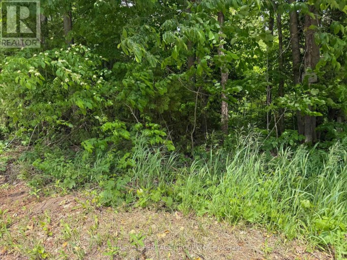 7 LINE, Innisfil, Ontario, L9S5A3