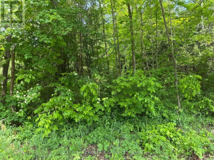 7 LINE, Innisfil, Ontario, L9S5A3