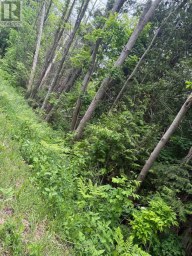 7 LINE Innisfil Ontario photo 9