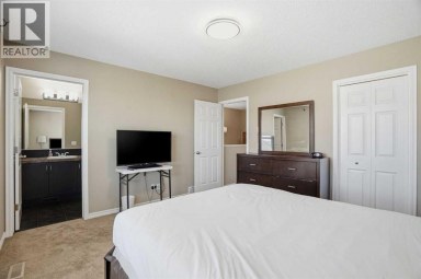 267 Skyview Springs Gardens NE Calgary Alberta photo 21