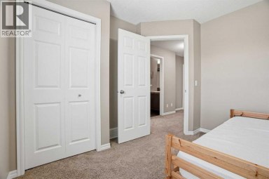 267 Skyview Springs Gardens NE Calgary Alberta photo 27